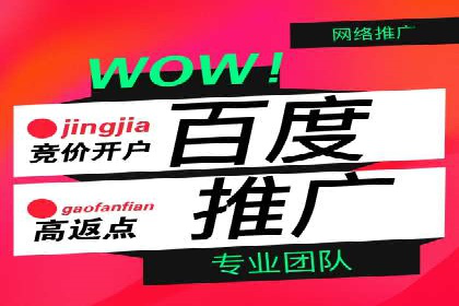 百度广告推广成功案例：快速提升流量